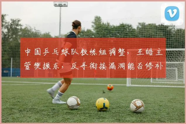中国乒乓球队教练组调整,王皓主管樊振东,反手衔接漏洞能否修补?